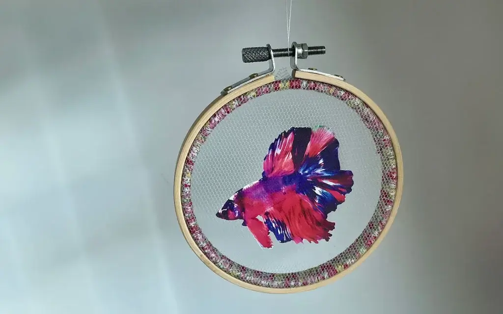 ペットのベタの写真を使ってチュール生地にオリジナル転写し刺繍枠で額装したオリジナルグッズ